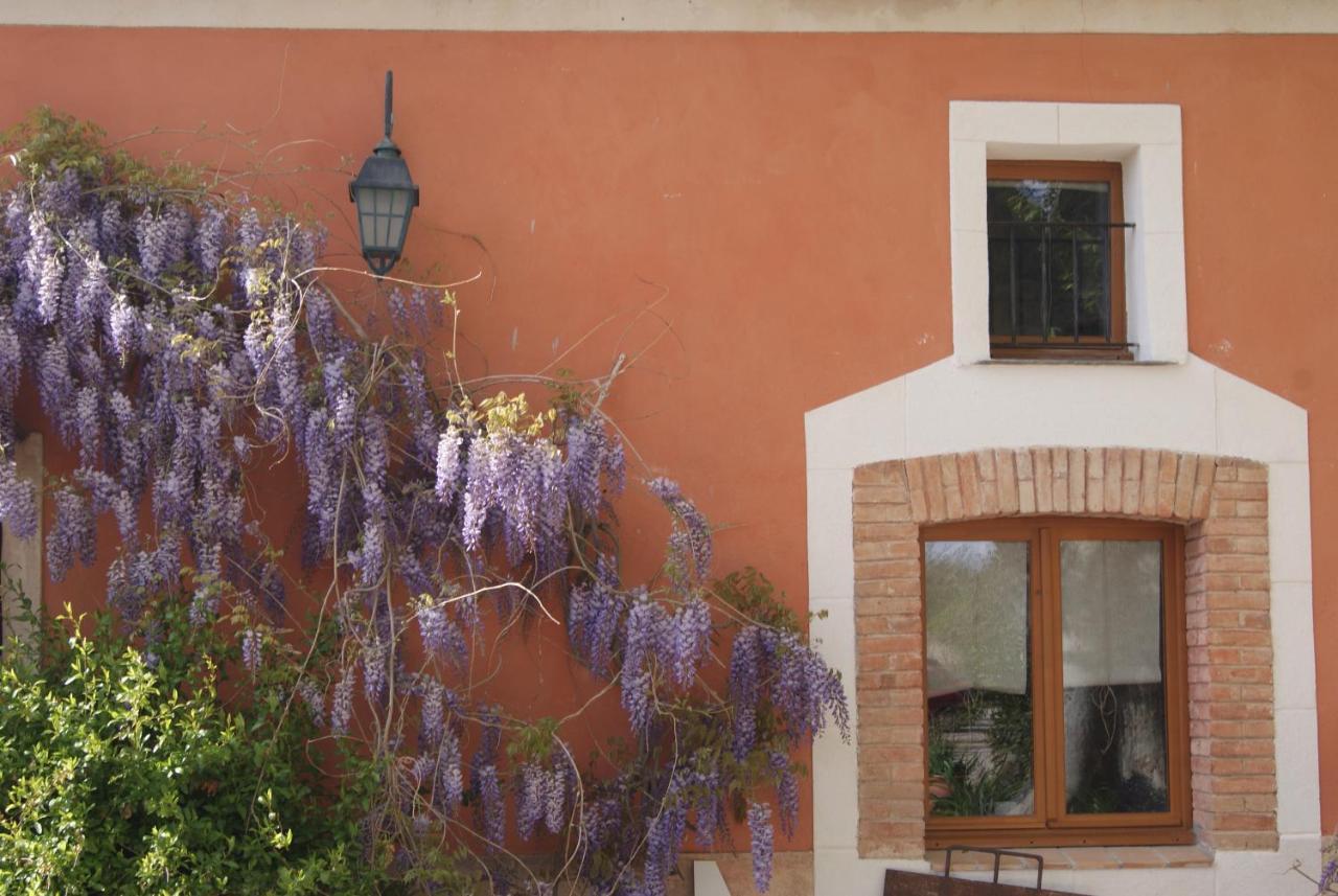 Le Bourguet Bed and Breakfast Solliès-Pont Exteriör bild